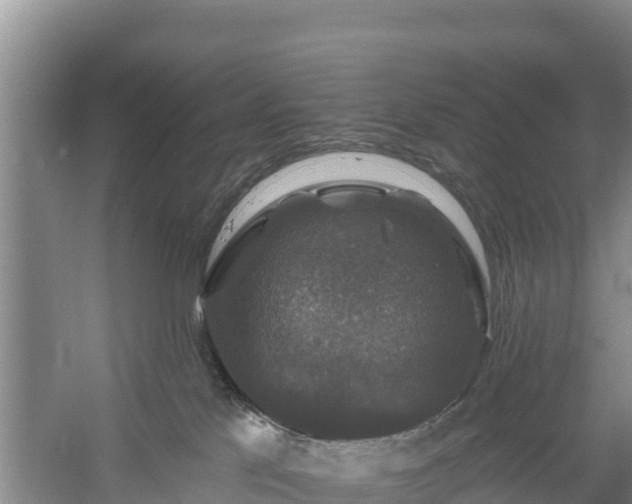 X0000058140041200509302030