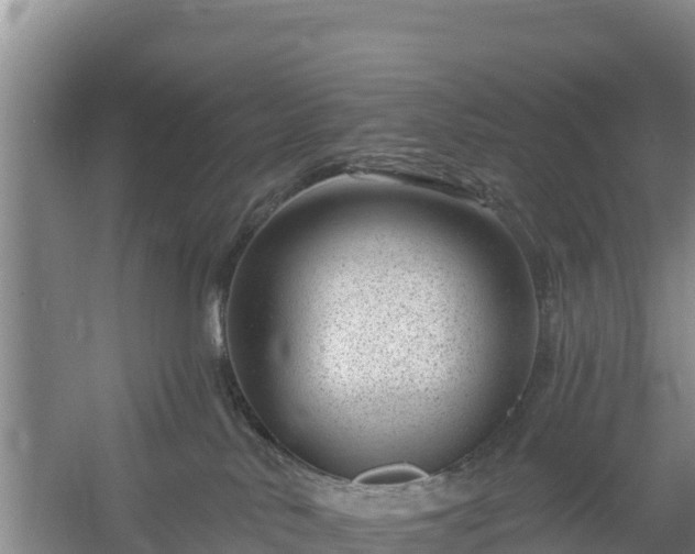 X0000058140042200509302030