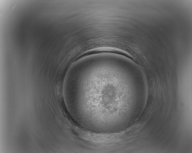 X0000058140044200509302030