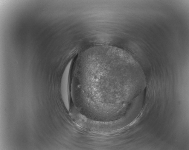 X0000058140045200509302030