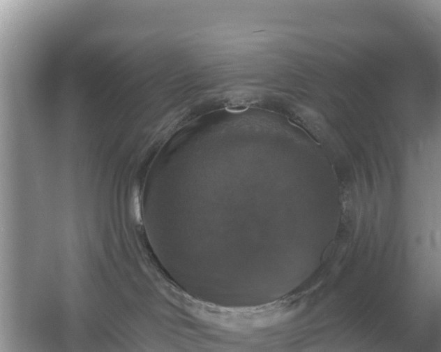 X0000058140046200509302030