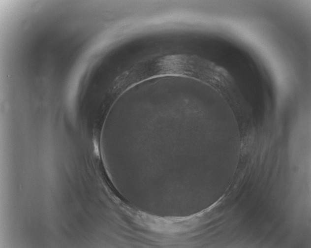 X0000058140047200509302030