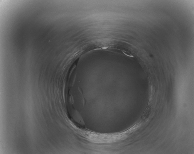 X0000058140048200509302030