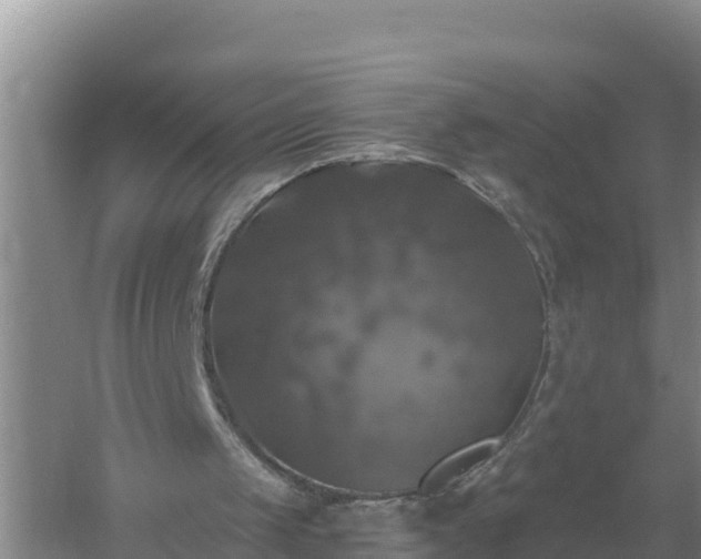 X0000058140049200509302029