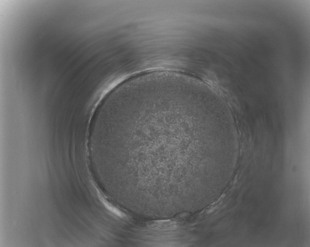 X0000058140050200509302029