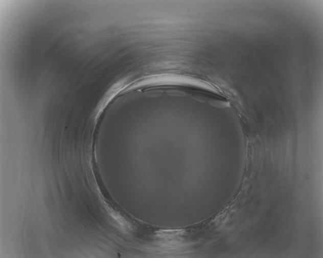 X0000058140051200509302029