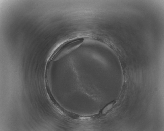 X0000058140052200509302029