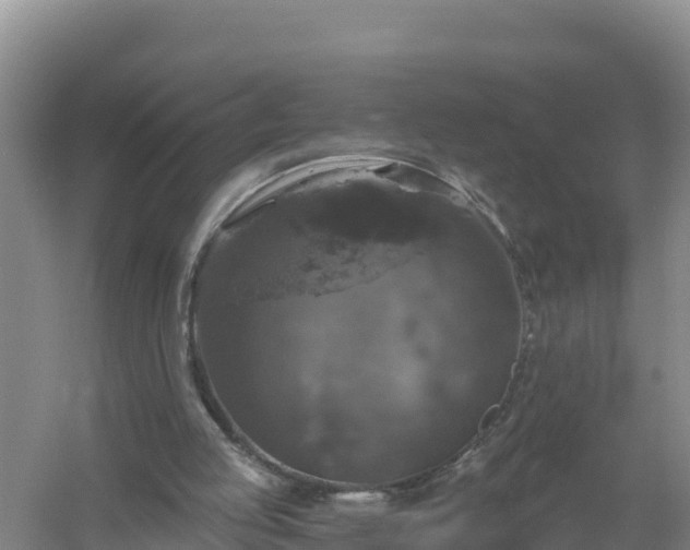 X0000058140053200509302029