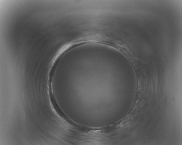 X0000058140054200509302029