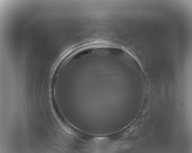 X0000058140055200509302029