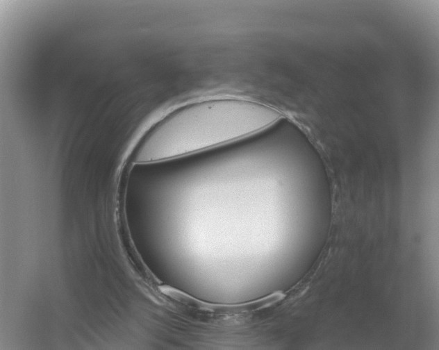 X0000058140056200509302029