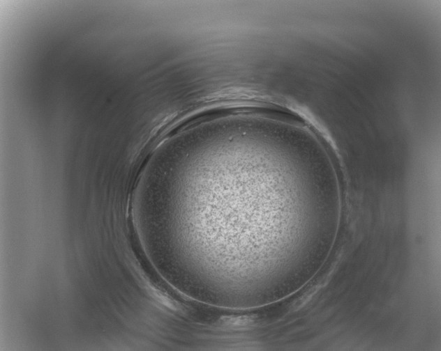 X0000058140057200509302029