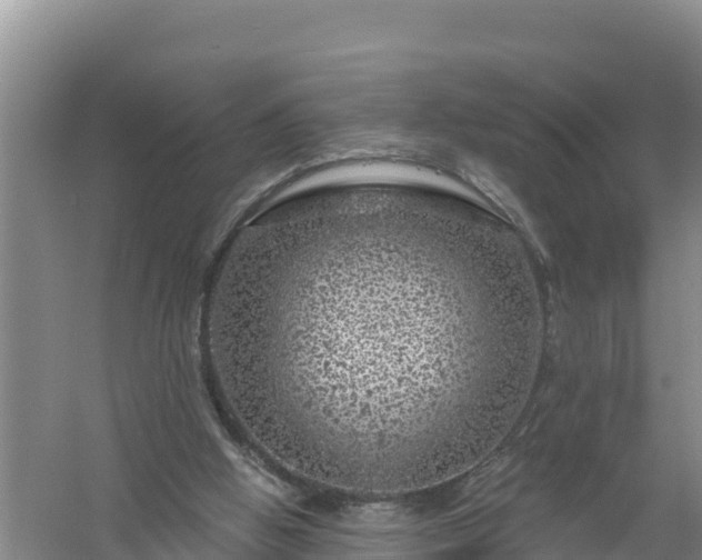 X0000058140058200509302029