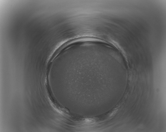 X0000058140060200509302029