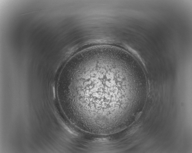 X0000058140061200509302029