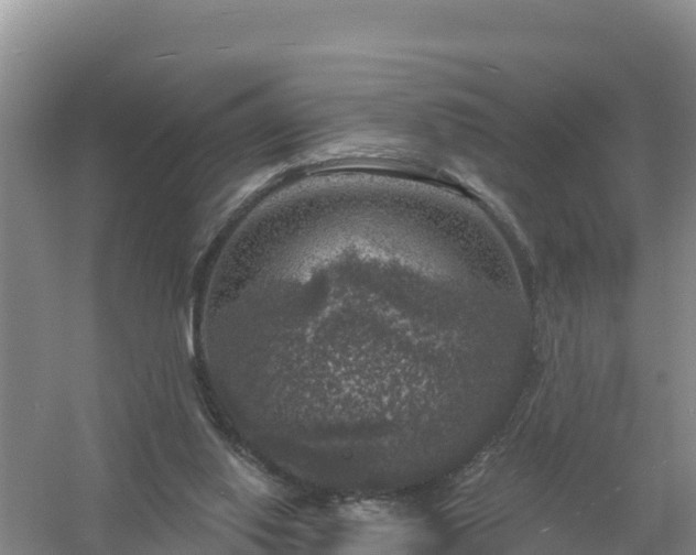 X0000058140062200509302029