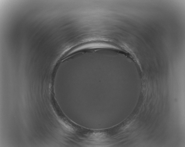 X0000058140063200509302029