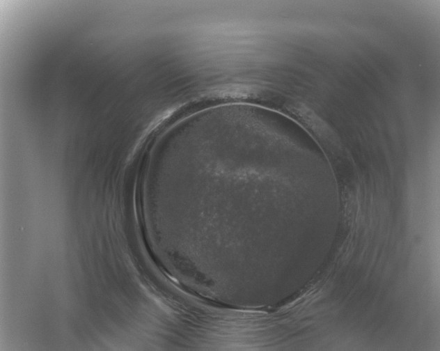 X0000058140064200509302030