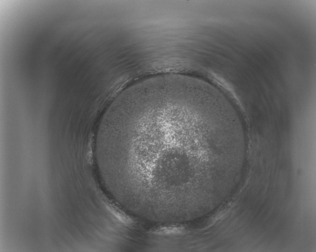 X0000058140065200509302030