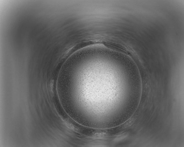 X0000058140066200509302030