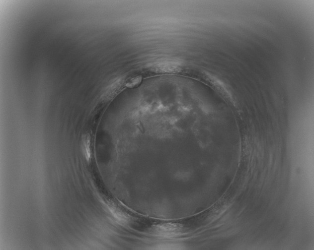 X0000058140069200509302030