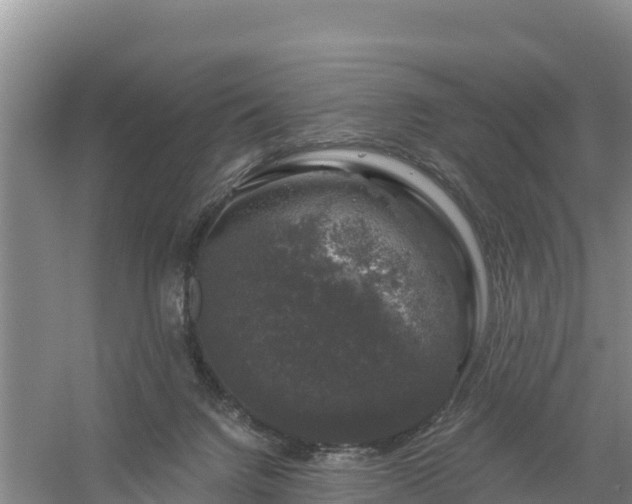 X0000058140072200509302030