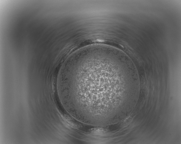 X0000058140074200509302030