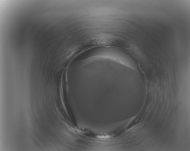 X0000058140076200509302030