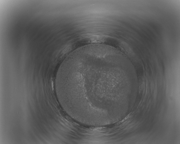 X0000058140078200509302030