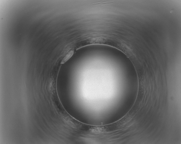 X0000058140079200509302030