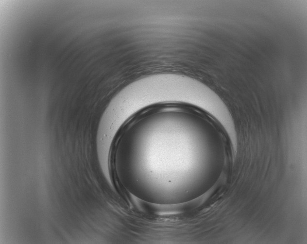 X0000058140080200509302030