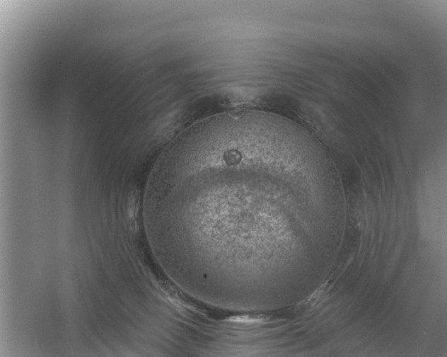 X0000058140082200509302030