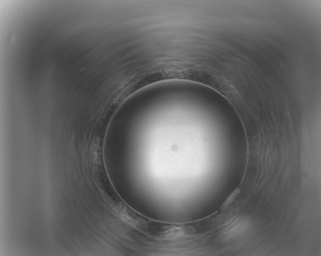 X0000058140083200509302030