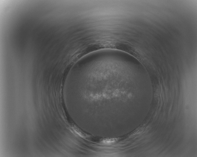 X0000058140084200509302030