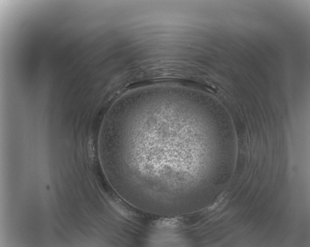 X0000058140086200509302030