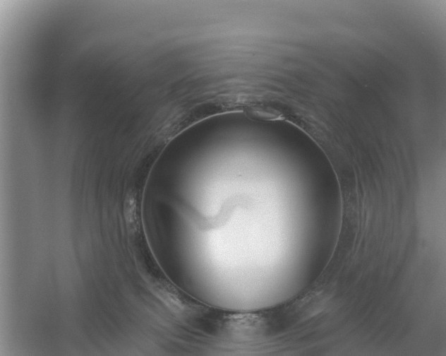 X0000058140087200509302030