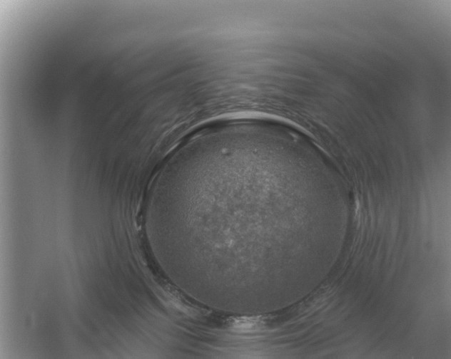 X0000058140088200509302030