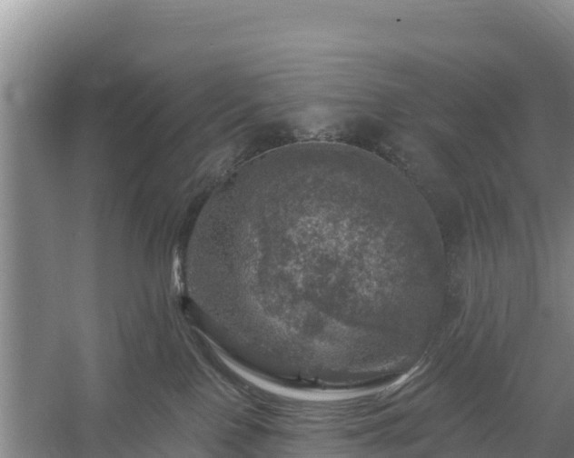 X0000058140090200509302030