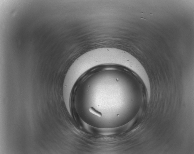 X0000058140091200509302030