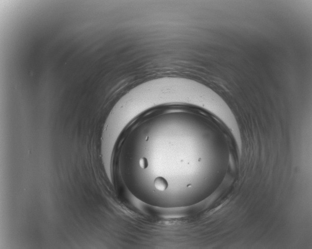 X0000058140092200509302030