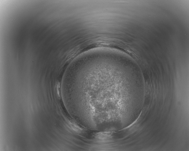 X0000058140094200509302030