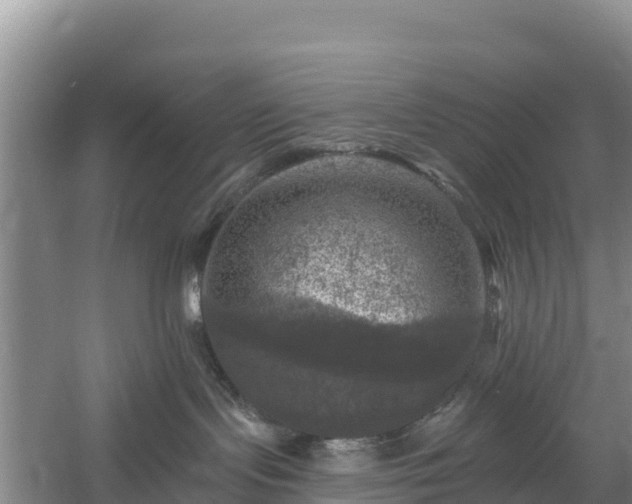 X0000058140095200509302030