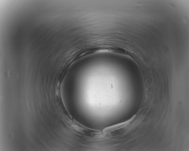 X0000058140096200509302030