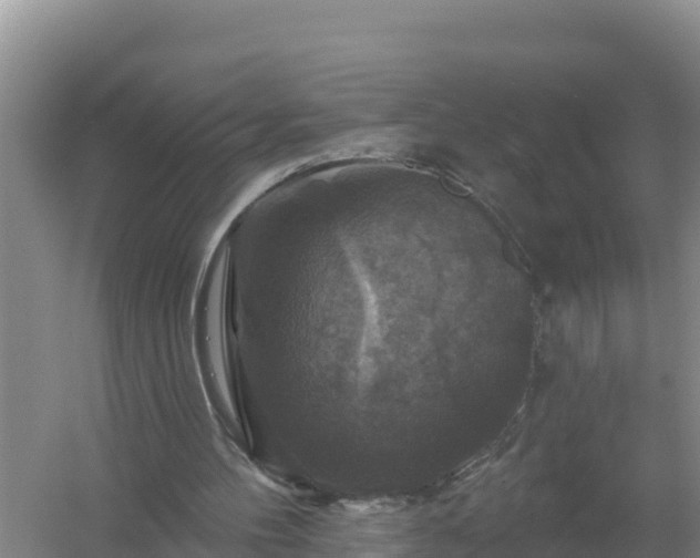 X0000058140100200509302029