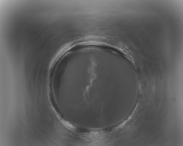 X0000058140101200509302029