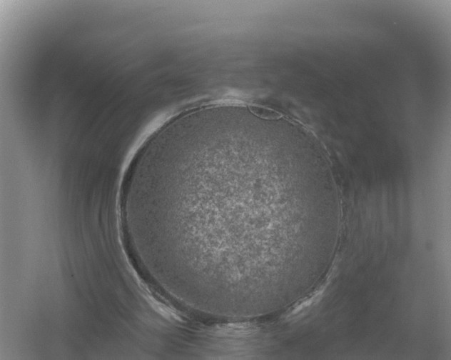 X0000058140102200509302029