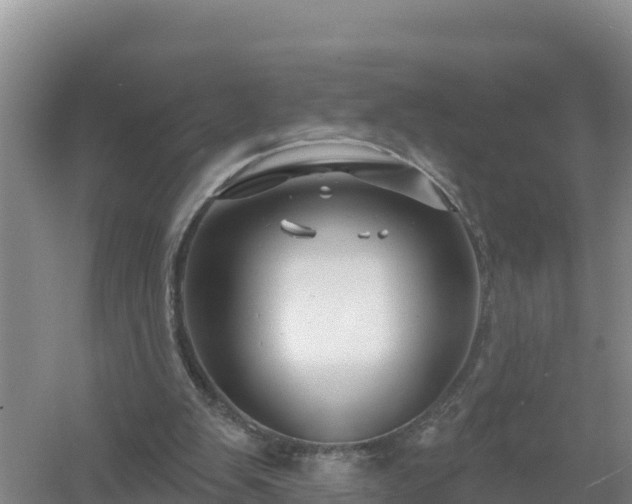 X0000058140103200509302029