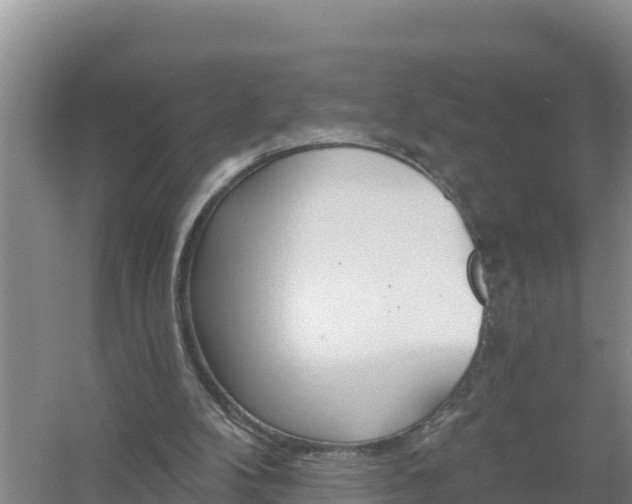 X0000058140104200509302029