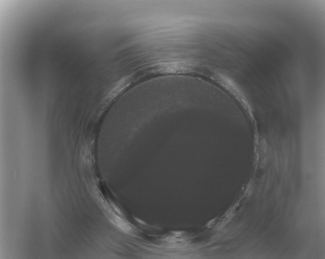 X0000058140105200509302029