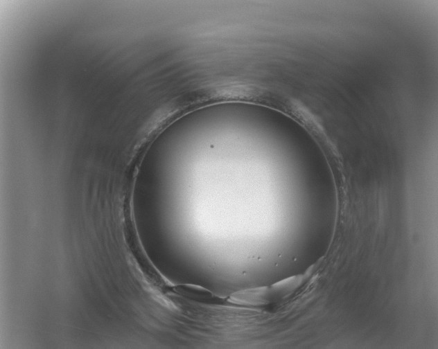 X0000058140106200509302029